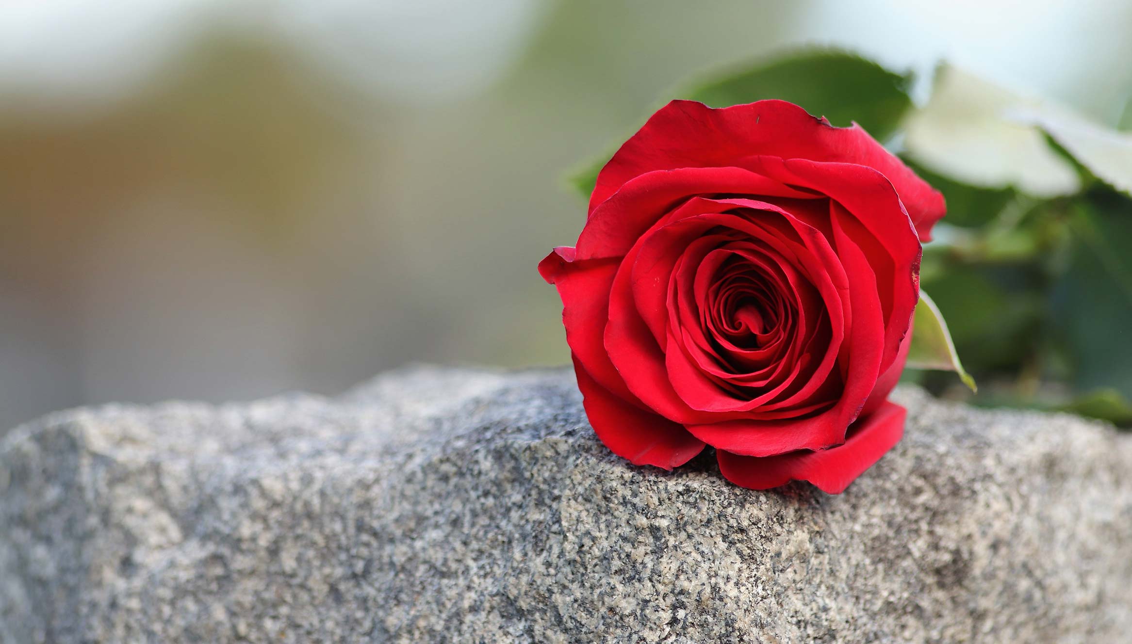 Messes au cimetière | Les 22 septembre et 6 octobre 2019