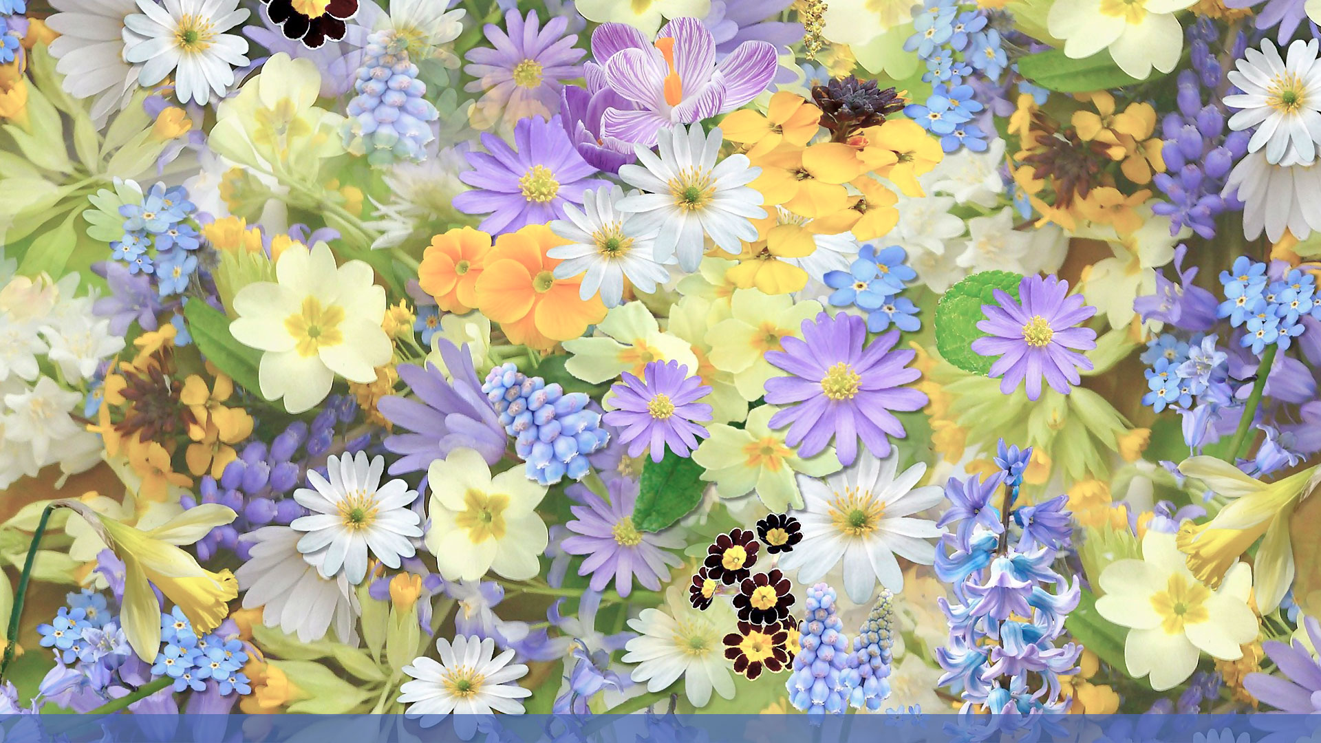 Fleurs et plantes naturelles dans les mausolées - Fête des mères