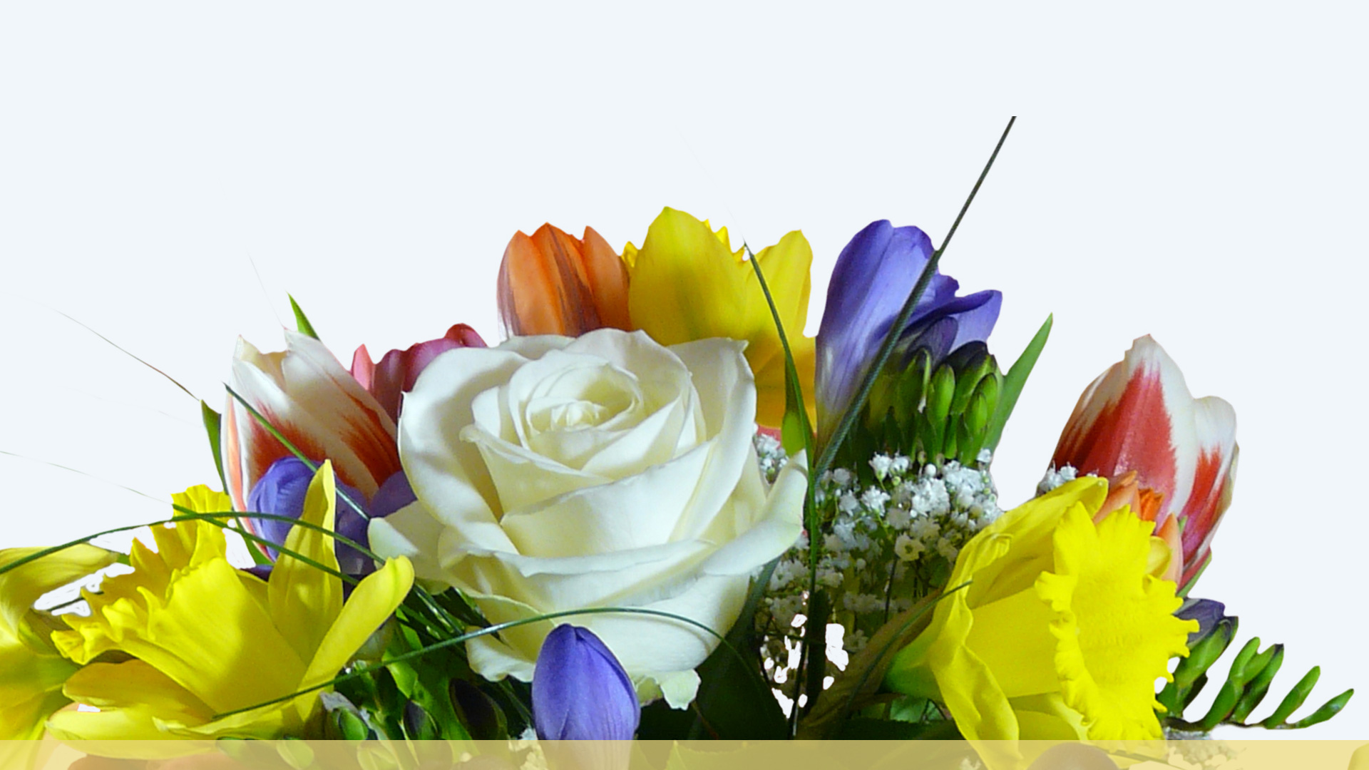 Fleurs et les plantes naturelles dans les mausolées - PÂQUES