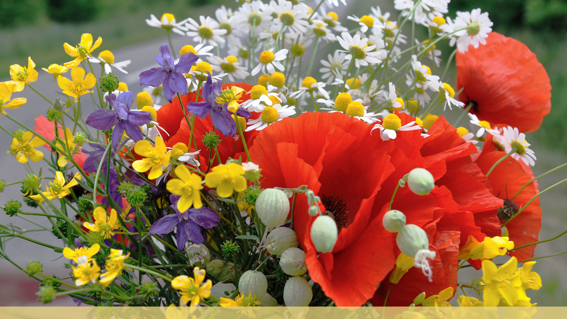 Fleurs et plantes naturelles dans les mausolées - Fête des pères