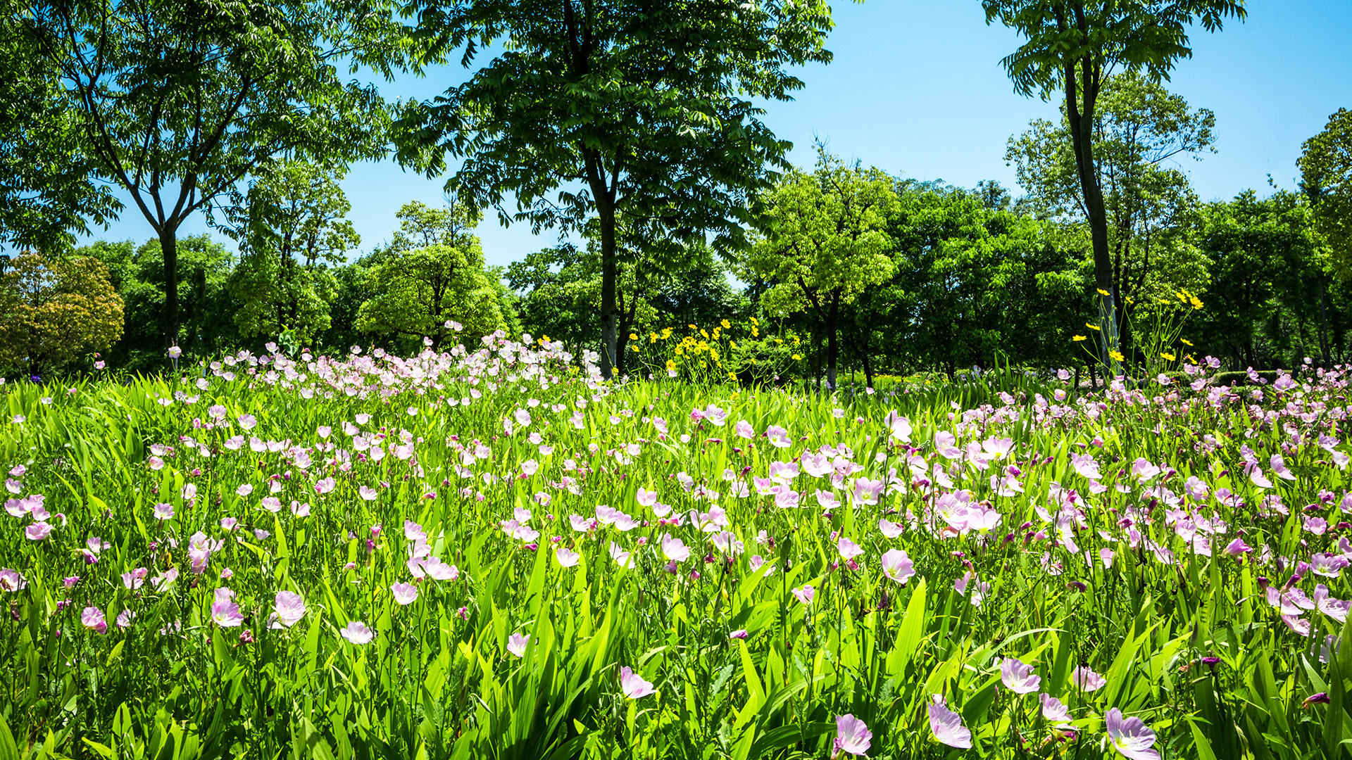 Cremation: a choice filled with meaning and respect