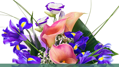 Natural Plants and Flowers in Mausoleums — Easter 2026