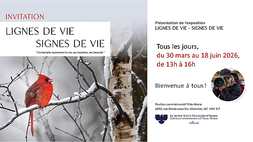 <h2>Exposition Lignes de vie Signes de vie</h2>